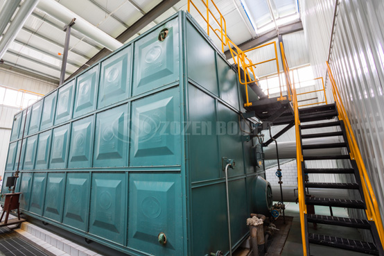 6吨WNS冷凝式燃气锅炉项目-燃煤锅炉改造燃气