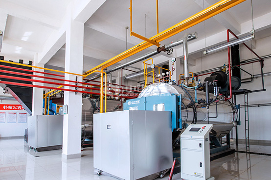 10吨WNS燃气蒸汽锅炉项目-燃煤锅炉改造燃气