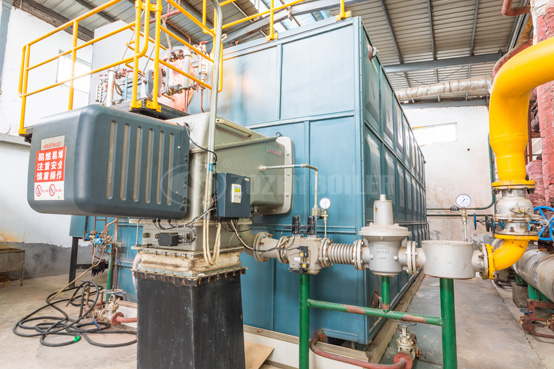 8吨WNS系列冷凝式燃气锅炉项目-燃煤锅炉改造燃气