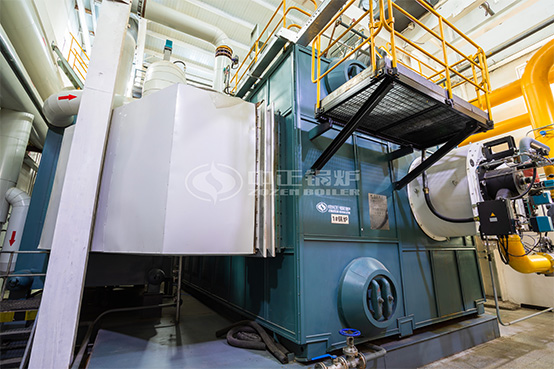 7MW WNS系列燃气热水锅炉项目-燃煤锅炉改造燃气